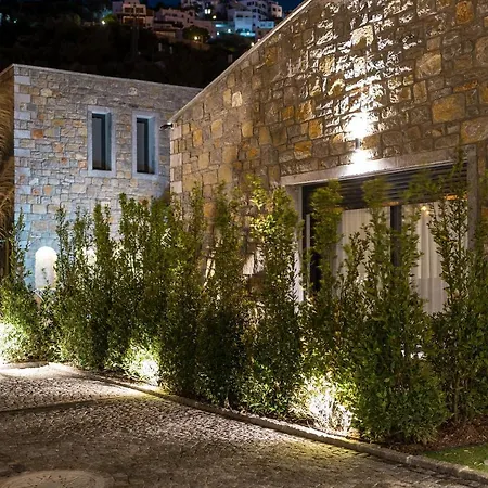 Mavillas Premium Torba Villa